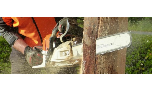 Ghid pentru incepatori: cum sa folosesti o drujba electrica