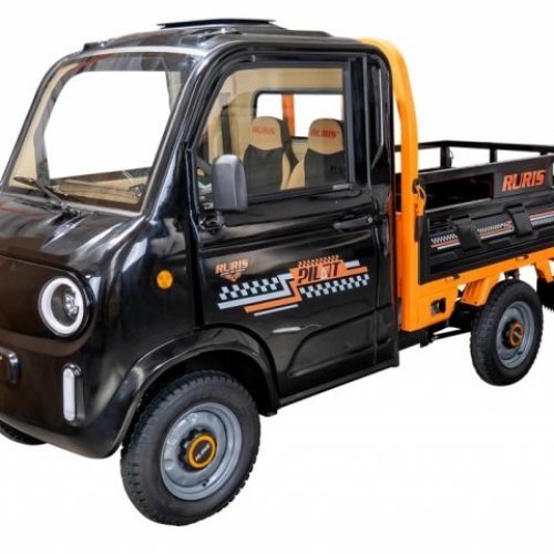 Camionetă electrică RURIS Pilot 5000N