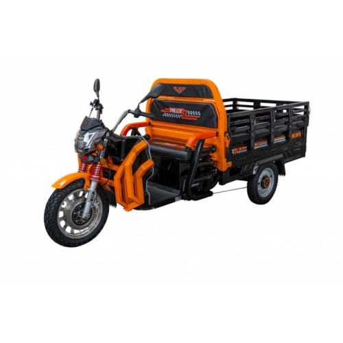 Triciclu Electric Cargo Ruris Pilot 3130N