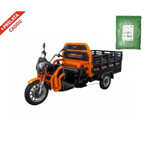 Triciclu Electric Cargo Ruris Pilot 3130N+ CADOU
