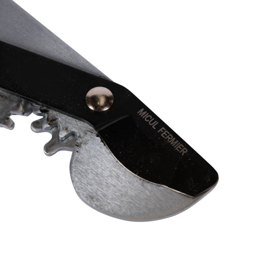 Foarfeca crengi telescopica Micul Fermier 67-99 cm 4.5 cm G01