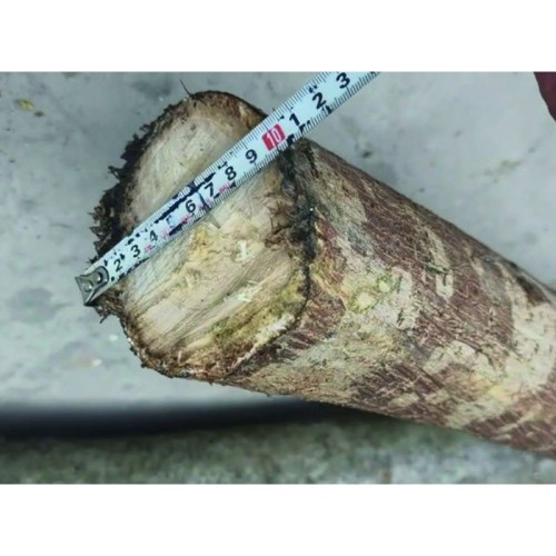 Tocator lemne motor 15 CP, benzina, pornire electrica, lungime lemn 10-22 cm, diametru lemn 12 cm, HECHT 6645