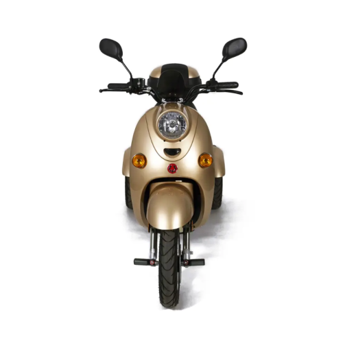 Tricicleta electrica Rotakt Explorer fara permis CIV inclus viteza 25 km/h autonomie 40 km