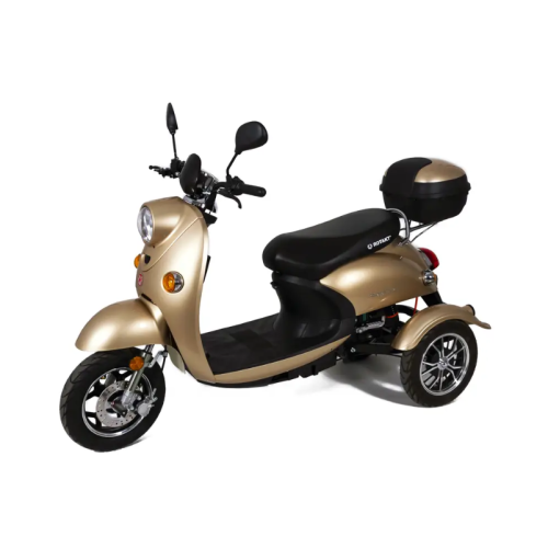 Tricicleta electrica Rotakt Explorer fara permis CIV inclus viteza 25 km/h autonomie 40 km