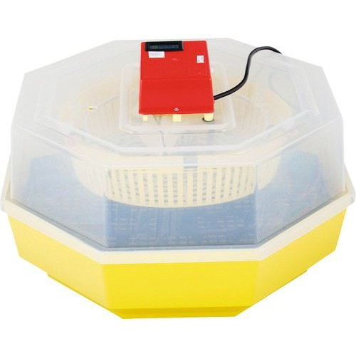 Incubator electric pentru ouă cu termohigrometru Cleo 5