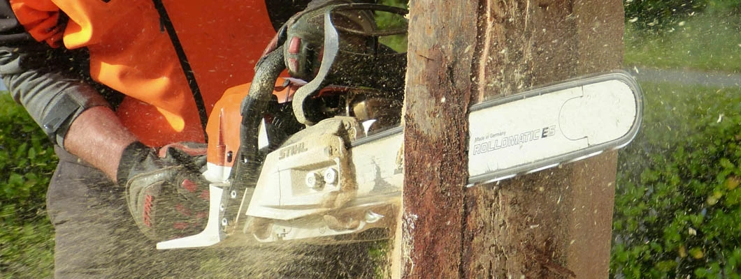 Ghid pentru incepatori: cum sa folosesti o drujba electrica