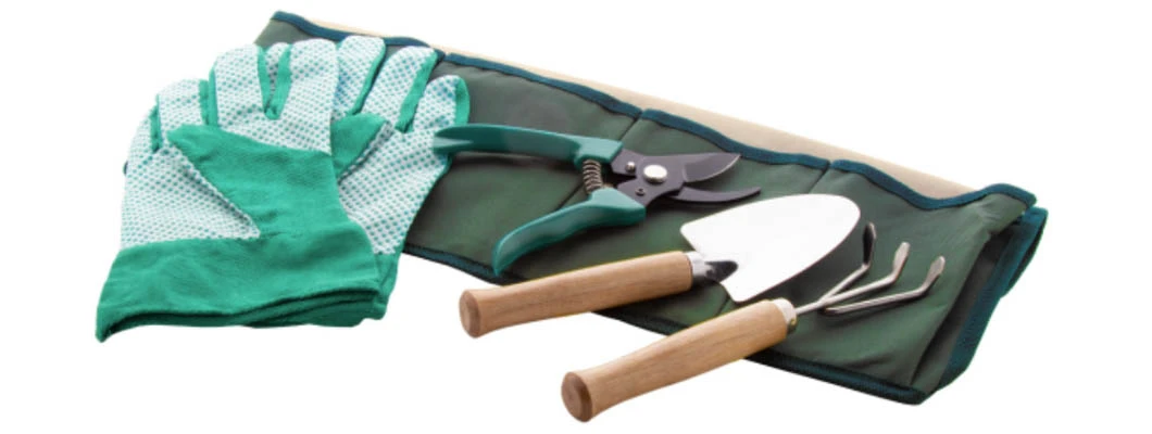 Sfaturi pentru gradinarii incepatori: uneltele esentiale de care ai nevoie