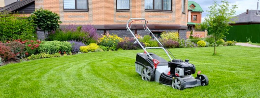 Cum sa alegi cea mai buna masina de tuns iarba pentru gradina ta