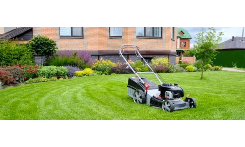 Cum sa alegi cea mai buna masina de tuns iarba pentru gradina ta