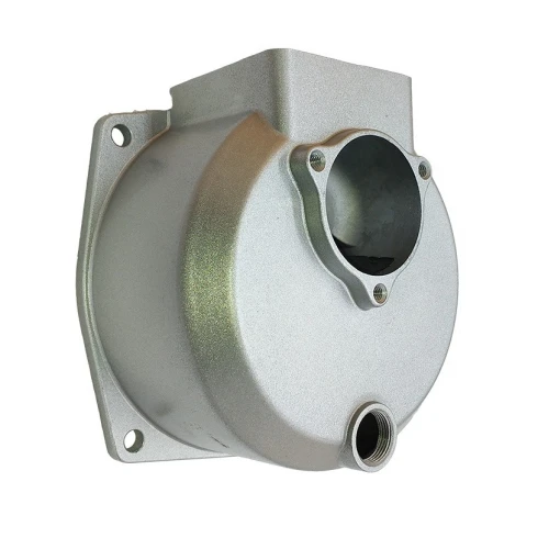 Carcasa bazin motopompa Ruris psmp80fr-1-19