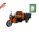 Triciclu Electric Cargo Ruris Pilot 3130N+ CADOU