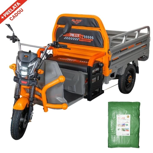 Triciclu Electric Cargo Ruris Pilot3120G, gri + CADOU