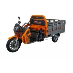 Triciclu Electric Cargo Ruris Pilot3130G+ CADOU
