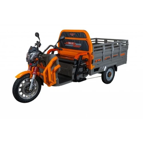 Triciclu Electric Cargo Ruris Pilot3130G+ CADOU