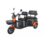 Triciclu Electric Ruris Pilot3040G+ CADOU