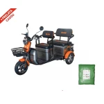 Triciclu Electric Ruris Pilot3040G+ CADOU