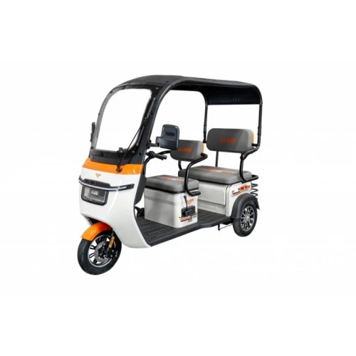 Triciclu Electric Ruris Pilot3070A