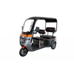 Triciclu Electric Ruris Pilot3070N+ CADOU