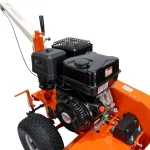 Masina De Sapat Santuri Ruris  Rth600 17CP