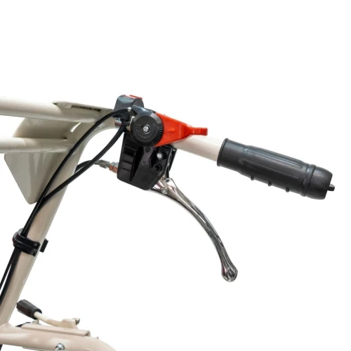 Roaba Autopropulsata Ruris  Rts6000