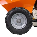 Roaba Autopropulsata Ruris  Rts6000