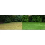 Scarificator si aerator electric HECHT 1683 2 in 1, putere motor 1600 W, sac colectare 48 litri, latime de lucru 38 cm