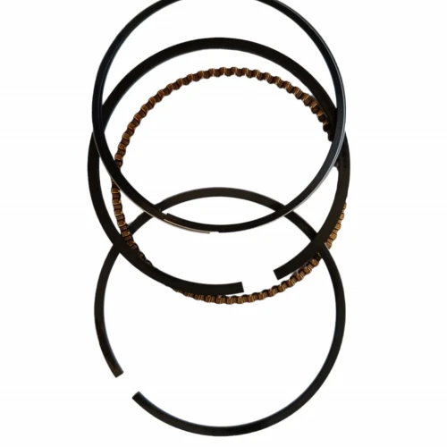 piston pentru motor motopompa