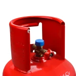 Butelie camping din metal cu talpa si guler de protectie pentru conector 5L ELEFANT