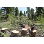 Redback EA216 ferastrau cu lant 400mm, 120V, solo