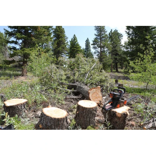 Redback EA216 ferastrau cu lant 400mm, 120V, solo