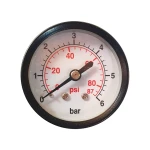 Progarden Manometru pentru apa Axial 0-12 bar, FE 1/4"