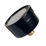 Progarden Manometru pentru apa Axial 0-12 bar, FE 1/4"