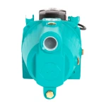 Pompa de suprafata Detoolz 0.75 kW, debit 2800l/h