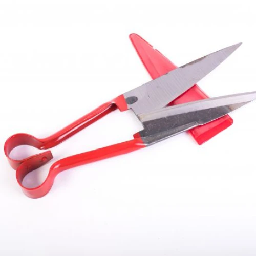 Foarfec oaie ROSU ECO