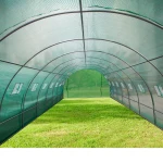 Solar/Sera  Micul Fermier 8x4x2.5m , polietilena, densitate 140g/mp UV4