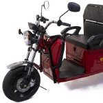 Amortizor fata stanga pentru triciclu electric - SRD 24 7wzlk