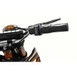 Motocicleta electrica pentru copii HECHT 54500