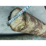 Tocator lemne motor 15 CP, benzina, pornire electrica, lungime lemn 10-22 cm, diametru lemn 12 cm, HECHT 6645