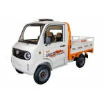 Camioneta Electrica Ruris Pilot5000A