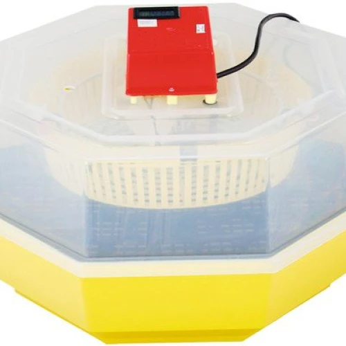 Incubator electric pentru ouă cu termohigrometru Cleo 5