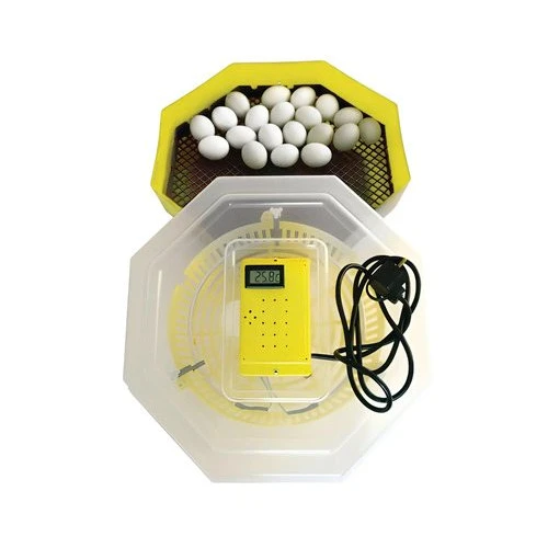 Incubator electric pentru ouă cu termohigrometru Cleo 5