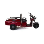 Triciclu Electric Cu Remorca Rotakt Nautilus 1600W 25 km/h Autonomie 44 km (CIV inclus) 