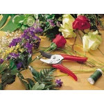 foarfeca de gradina si vie Wolf-Garten RR-EN bypass, latime de lucru 19mm