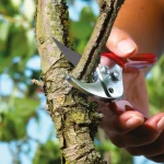 foarfeca de gradina si vie Wolf-Garten RR-EN bypass, latime de lucru 19mm