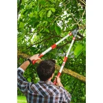 Foarfeca crengi 50mm wolf-garten power cut rs 900