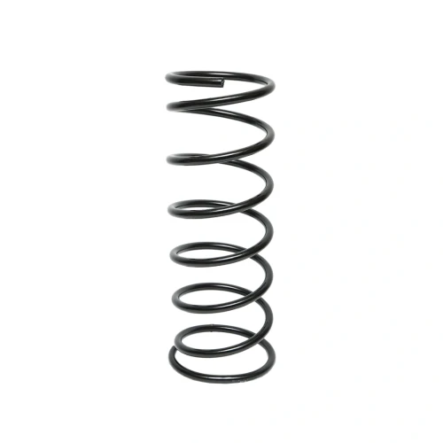 Arc spate Dacia Break 6001540487