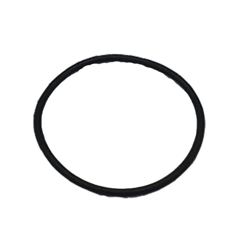 Garnitura pompa Booster RURIS PSA103S-2-141, pentru atomizor Ruris 103s