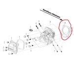 Garnitura esapament RURIS PS168f-11-9, pentru motosapa Ruris 6 cp, 6.5 cp, 7 cp