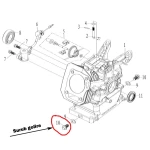 Surub golire ulei RURIS PS168f-2-10, M10 x 15, pentru motosape Ruris 6 cp, 6.5 cp, 7 cp