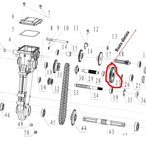 Roata dintata RURIS PS6500k-1-27, pentru motosapa Ruris, Dac, Zimbru, Gigant